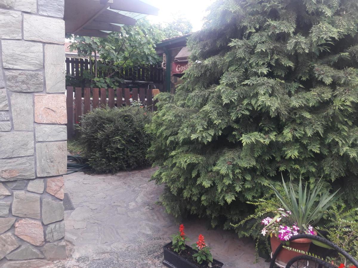 Villa Iva Skopje Exteriér fotografie
